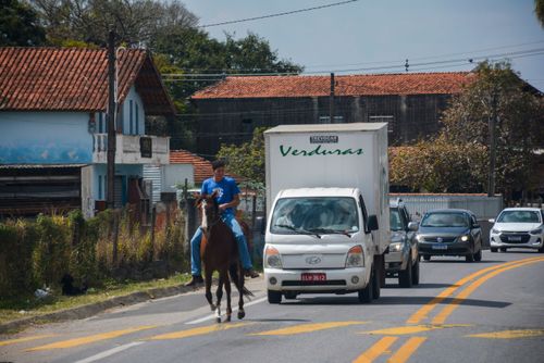 Pessoa andando a cavalo em estrada com veículos