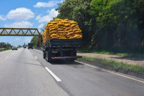 Caminhão transportando cebolas soltando fumaça muito escura do motor - poluição