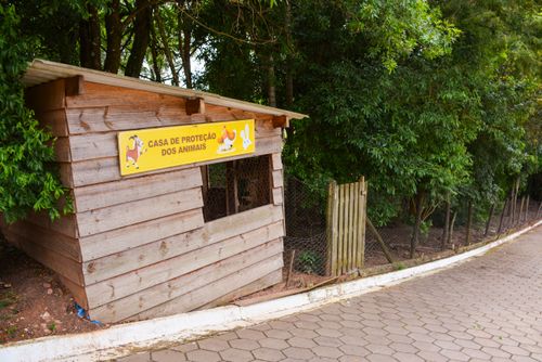 Galinheiro no Parque Ecológico Municipal Collemar de Miranda Botto