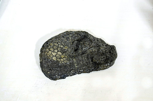 01CC656