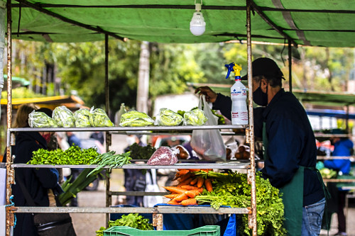Barraca de legumes e verduras orgânicas - Feira Ecológica da Auxiliadora - bairro Auxiliadora - 