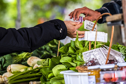 Consumidor pagando em barraca de verduras orgânicas da Feira Ecológica da Auxiliadora - bairro Auxiliadora -