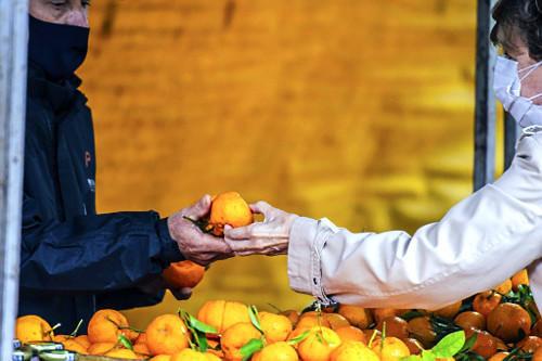 Consumidor em barraca de frutas orgânicas da Feira Ecológica da Auxiliadora - bairro Auxiliadora - 