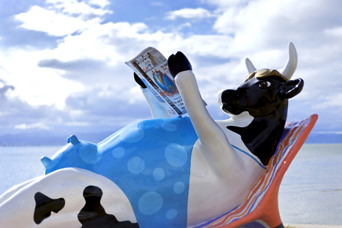 cow parade | Pulsar Imagens | Banco imagens do Brasil