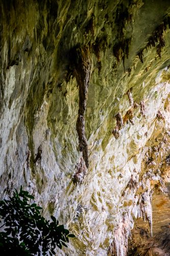 Perna da Bailarina na Gruta do Janelão - Parque Nacional Cavernas do Peruaçu - transição dos biomas caatin