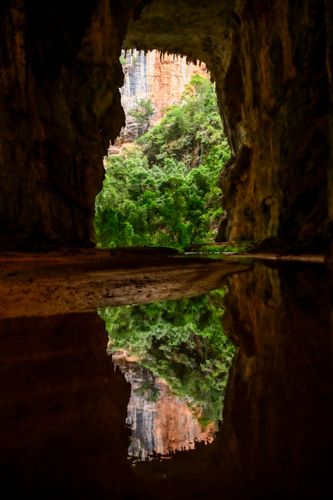 Vegetação refletida no Rio Peruaçu na Gruta do Janelão - Parque Nacional Cavernas do Peruaçu - transiçã
