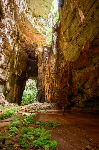 Trilha para a Gruta do Janelão - Parque Nacional Cavernas do Peruaçu - transição dos biomas caatinga e cer
