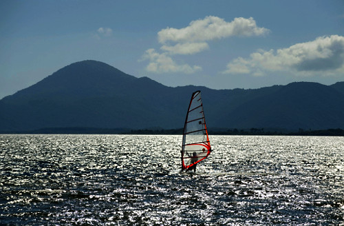 01PF596
