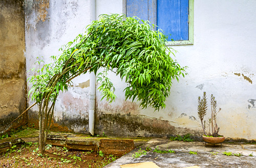 crajiru | Pulsar Imagens | Banco imagens do Brasil