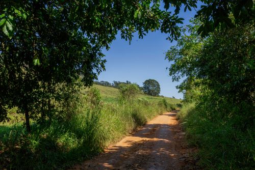 Estrada de terra 