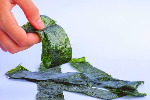 Nori - folhas prensadas de alga marinha usadas no preparo de sushi - iguaria japonesa