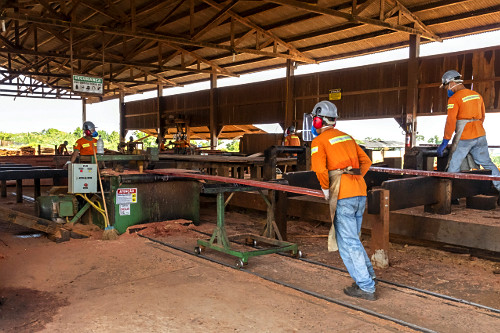 Vista interna de trabalhadores em serraria