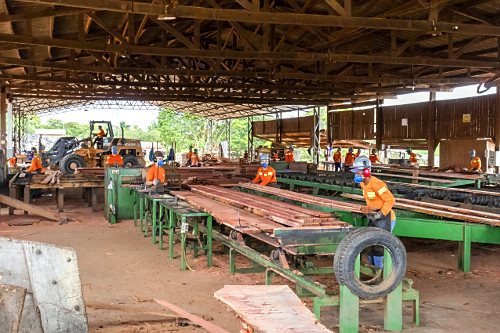 Vista interna de trabalhadores em serraria