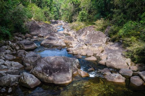 Rio na parte baixa do Parque Nacional do Itatiaia no Parque Nacional do Itatiaia