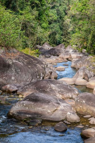 Rio na parte baixa do Parque Nacional do Itatiaia no Parque Nacional do Itatiaia