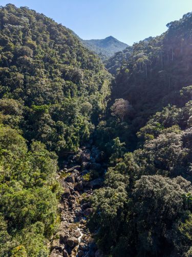 Vista de drone de rio em meio à mata atlântica na parte baixa do Parque Nacional do Itatiaia no Parque Nacio