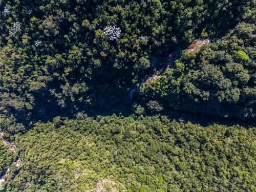 Vista de drone de rio em meio à mata atlântica na parte baixa do Parque Nacional do Itatiaia no Parque Nacio