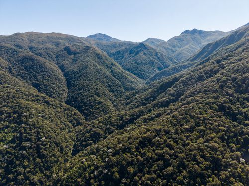 Vista de drone de mata atlântica na parte baixa do Parque Nacional do Itatiaia no Parque Nacional do Itatiaia