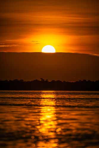 Nascer do sol no Rio Negro no Parque Nacional de Anavilhanas 