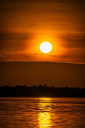 Nascer do sol no Rio Negro no Parque Nacional de Anavilhanas 