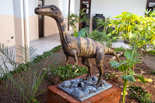 Réplica do Vespersaurus Paranaensis no Museu de Paleontologia