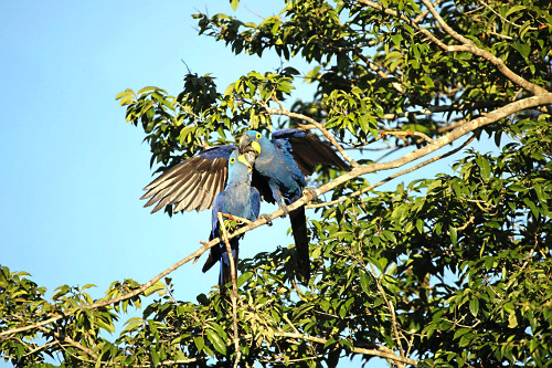 02HVM402