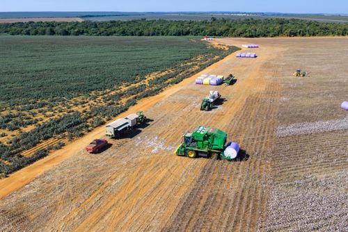 Vista de drone de colheitadeira de fuso que faz o enfardamento do algodão durante a colheita