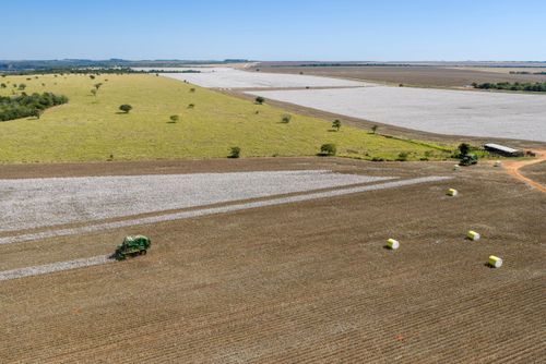 Vista de drone de colheita mecanizada de algodão