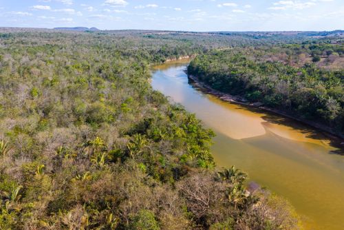 Vista de drone de vegetação de cerrado e bancos de areia ao longo do leito do Rio Garças