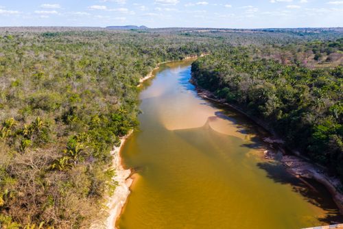 Vista de drone de vegetação de cerrado e bancos de areia ao longo do leito do Rio Garças
