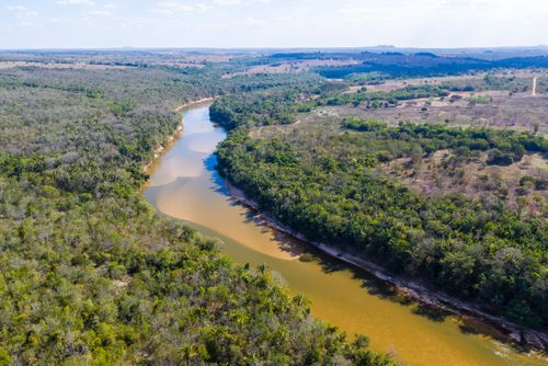 Vista de drone de vegetação de cerrado e bancos de areia ao longo do leito do Rio Garças