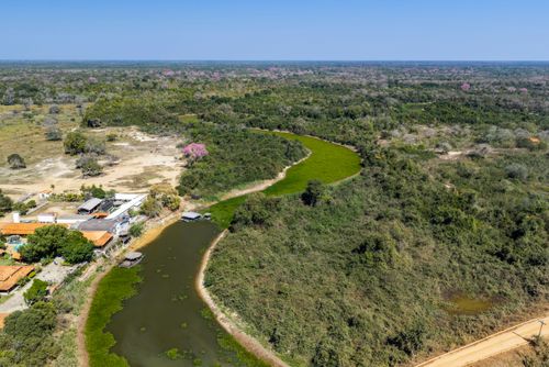 Rio Pixaim tomado pelos aguapés em função da seca extrema que assola o Pantanal