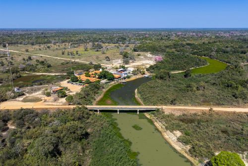 Rio Pixaim que corta a MT-060 Rodovia Transpantaneira com aguapés em função da seca extrema que assola o Pa