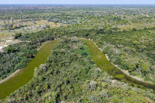 Rio Pixaim tomado pelos aguapés em função da seca extrema que assola o Pantanal