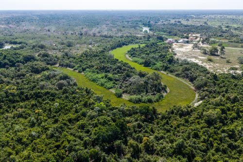 Rio Pixaim tomado pelos aguapés em função da seca extrema que assola o Pantanal