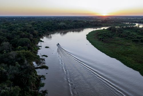 Vista de drone do Rio Cuiabá na região de Porto Jofre