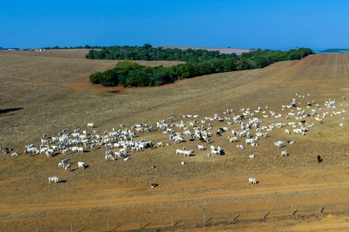 02JEA245