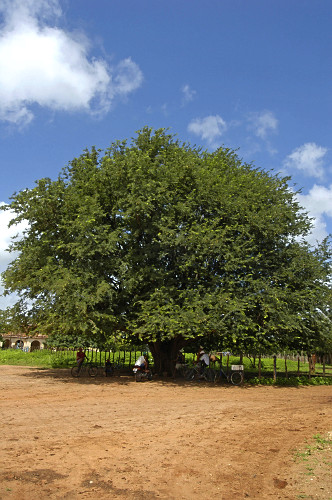02JPR841
