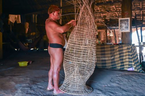 Indígena da etnia Wauja fazendo cesto armadilha covo de cipó para pegar peixe - Parque Indígena do Xingu