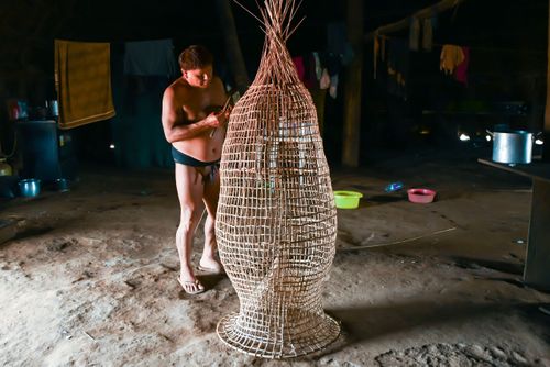 Indígena da etnia Wauja fazendo cesto armadilha covo de cipó para pegar peixe - Parque Indígena do Xingu