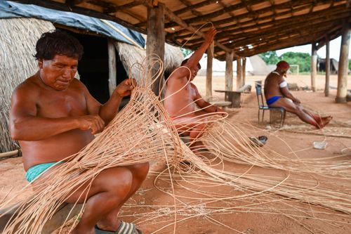 Indígenas da etnia Wauja fazendo cesto armadilha covo de cipó para pegar peixe - Parque Indígena do Xingu