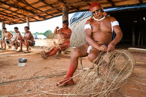 Indígenas da etnia Wauja fazendo cesto armadilha covo de cipó para pegar peixe - Parque Indígena do Xingu
