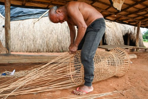 Indígenas da etnia Wauja fazendo cesto armadilha covo de cipó para pegar peixe - Parque Indígena do Xingu
