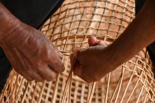 Indígena da etnia Wauja fazendo armadilha covo de cipó para pegar peixe - Parque Indígena do Xingu
