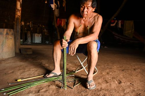Indígena Wauja segurando varetas para produção de armadilha de peixes kuluto ou matapi - Parque Indígena d