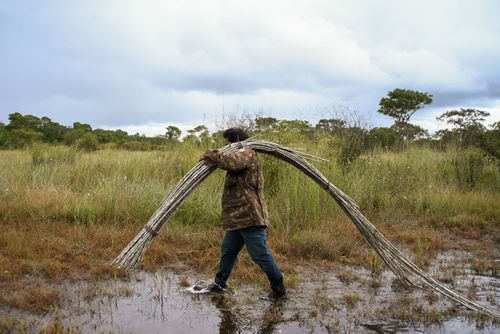 Parque Indígena Xingu | Pulsar Imagens | Banco imagens do Brasil