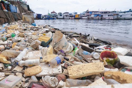 Lixo acumulado na margem do rio Negro