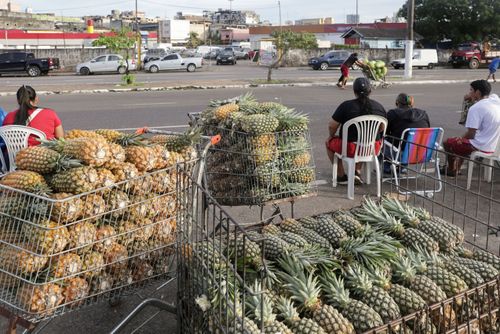 02RV431