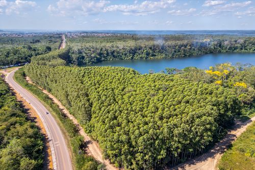 biomassa | Pulsar Imagens | Banco imagens do Brasil