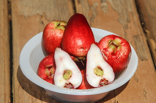 Detalhe do fruto de jambo cortados ao meio - também denominados jambo-da-índia , jambo-moreno , jambo-rosa o